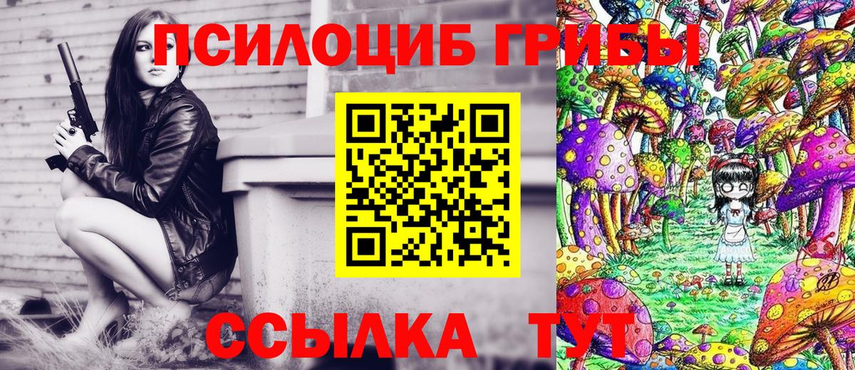 Псилоцибиновые грибы Cubensis Сибай