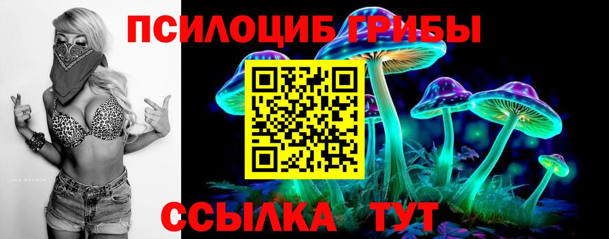Сибай  Псилоцибиновые грибы ЛСД  Вход с VPN  Галлюциногенные грибы прущие грибы 